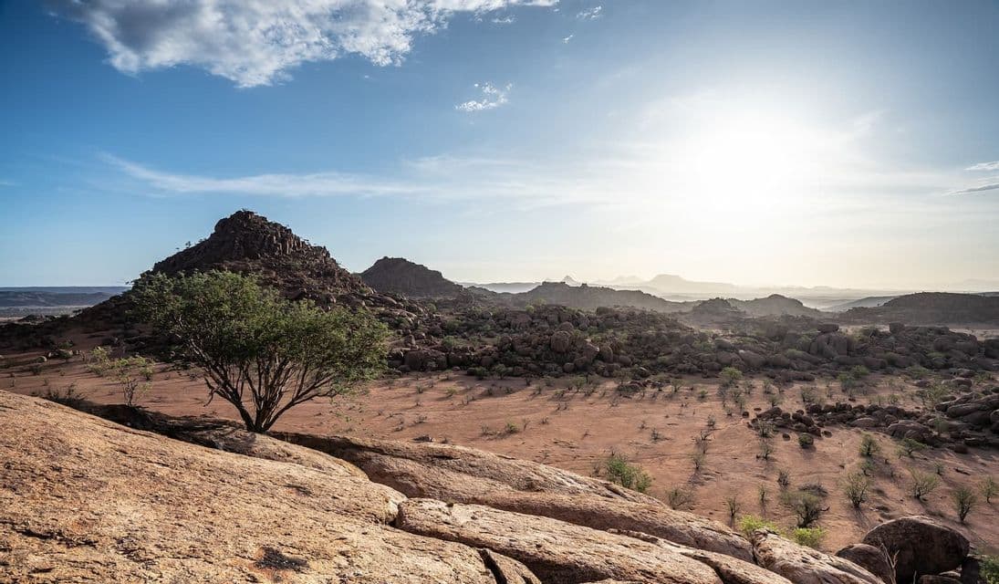 A lone green tree stands on a rocky outcrop overlooking a sunlit, arid valley with scattered boulders and mountains in the distance.