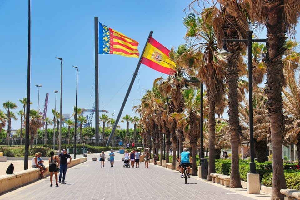 Des gens se promènent à pied et à vélo sur une promenade ensoleillée bordée de palmiers, sous les drapeaux de l'Espagne et de Valence.