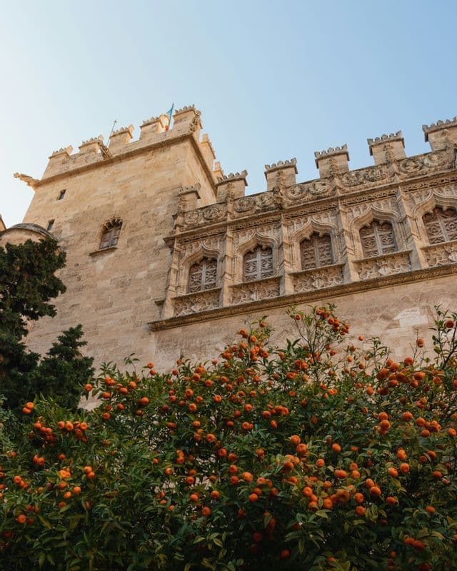 Un plan en contre-plongée d'un grand oranger chargé de fruits, devant un bâtiment historique en pierre richement orné de créneaux.