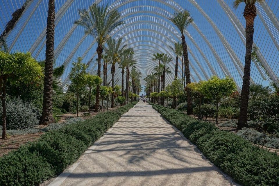 Une longue allée bordée de palmiers et d'arbustes verts passe sous une structure arquée moderne et blanche par une journée ensoleillée.