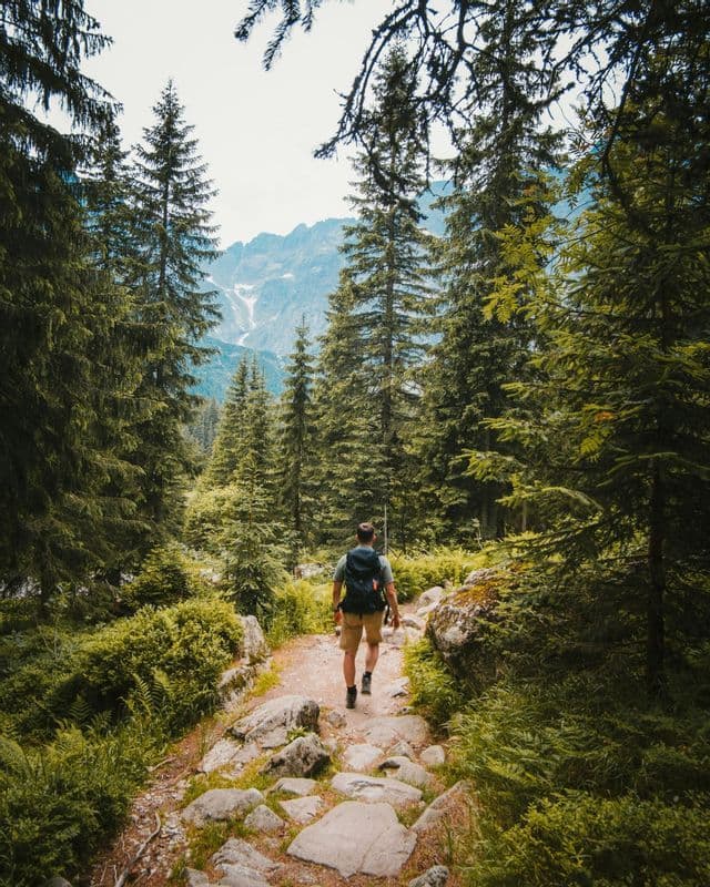 Un escursionista con zaino su un sentiero roccioso attraverso una pineta, diretto verso montagne innevate.