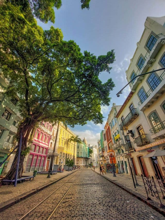 Vista dal basso di una strada acciottolata con binari del tram, fiancheggiata da edifici colorati e un grande albero verde.