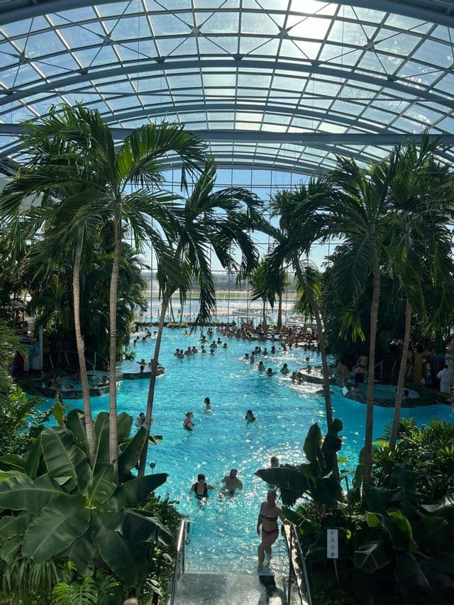 Vista dall'alto di persone che nuotano in una grande piscina interna circondata da piante tropicali e palme sotto un tetto di vetro.