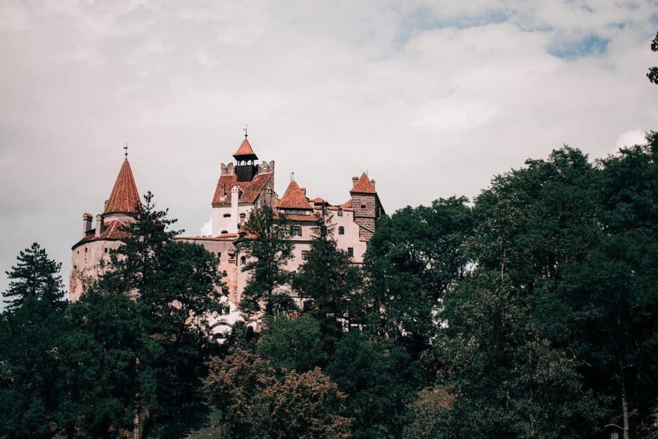 Un castello storico in pietra con tetti di tegole rosse e torri si erge sopra una fitta foresta verde su una collina sotto un cielo nuvoloso.