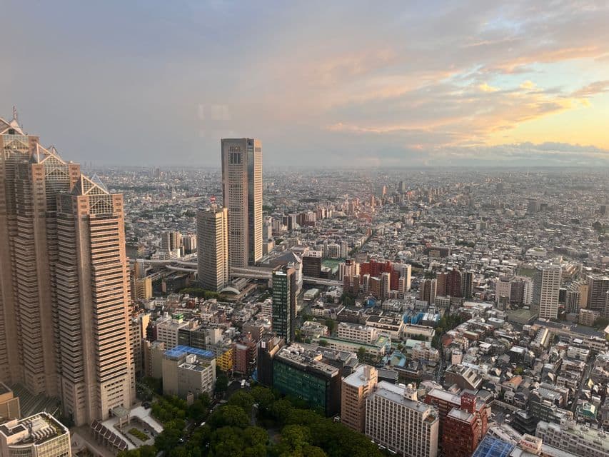 Una vista aerea di un'ampia città con numerosi grattacieli che si estendono all'orizzonte sotto un cielo nuvoloso al tramonto.