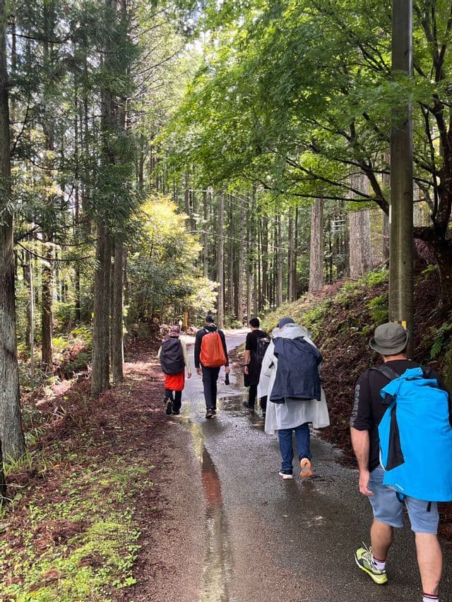 Un viaggio di gruppo WeRoad con zaini, in trekking su un sentiero bagnato che si snoda in una foresta fitta e alta.