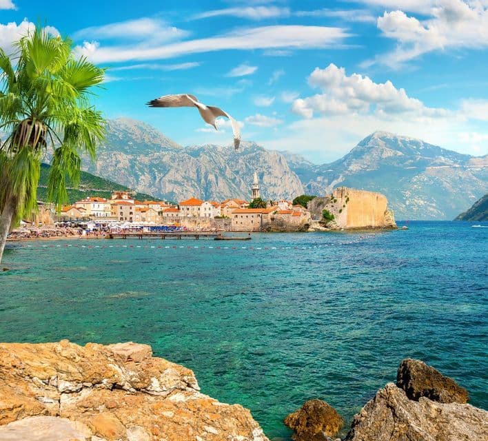 Un gabbiano vola su una storica cittadina costiera su una penisola, con montagne sullo sfondo e acqua turchese limpida in primo piano.