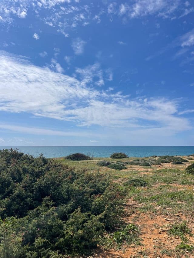 Una scogliera erbosa con bassi arbusti verdi si affaccia sul mare sotto un cielo azzurro parzialmente nuvoloso.