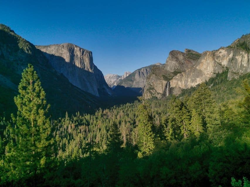 Une large vallée remplie d'une dense forêt de pins, entourée de hautes falaises de granite et d'une chute d'eau lointaine sous un ciel bleu clair.