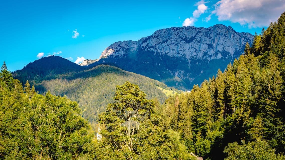 Rigogliose colline verdi e boscose si ergono verso un'imponente vetta rocciosa sotto un cielo azzurro e limpido.