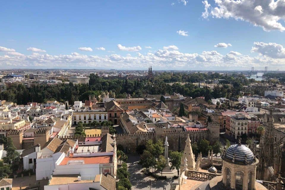 An aerial view over the rooftops of a historic European city, with green trees and a bridge in the distance under a blue sky.