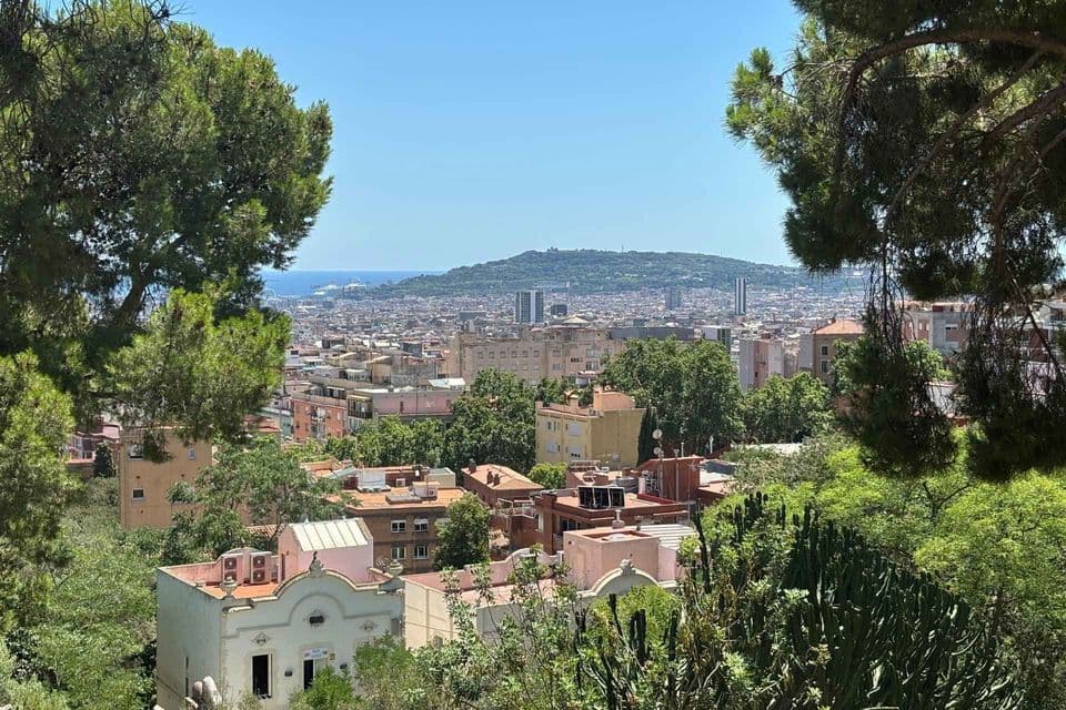 Un panorama cittadino si estende verso una grande collina e il mare in lontananza, incorniciato da pini verdi, visto da un punto panoramico sotto un cielo limpido.