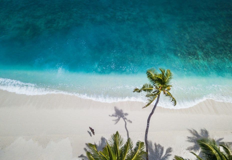 Vista aerea di una palma su una spiaggia di sabbia bianca, dove una persona cammina accanto al mare turchese con onde leggere.