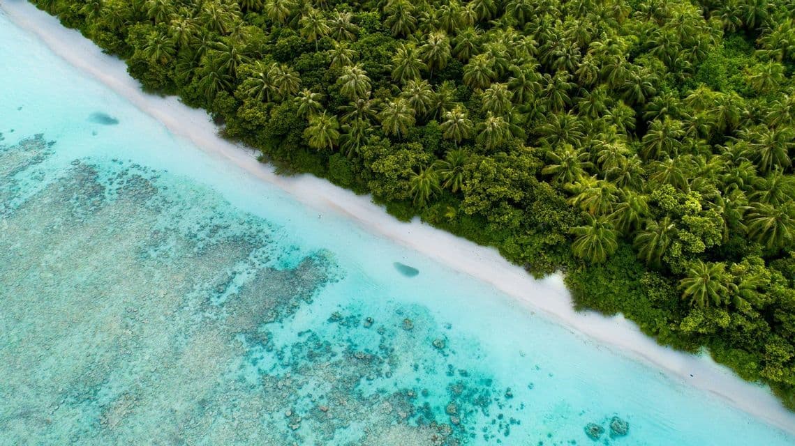 Veduta aerea di una spiaggia di sabbia bianca, una fitta foresta di palme e acqua turchese cristallina con barriere coralline.