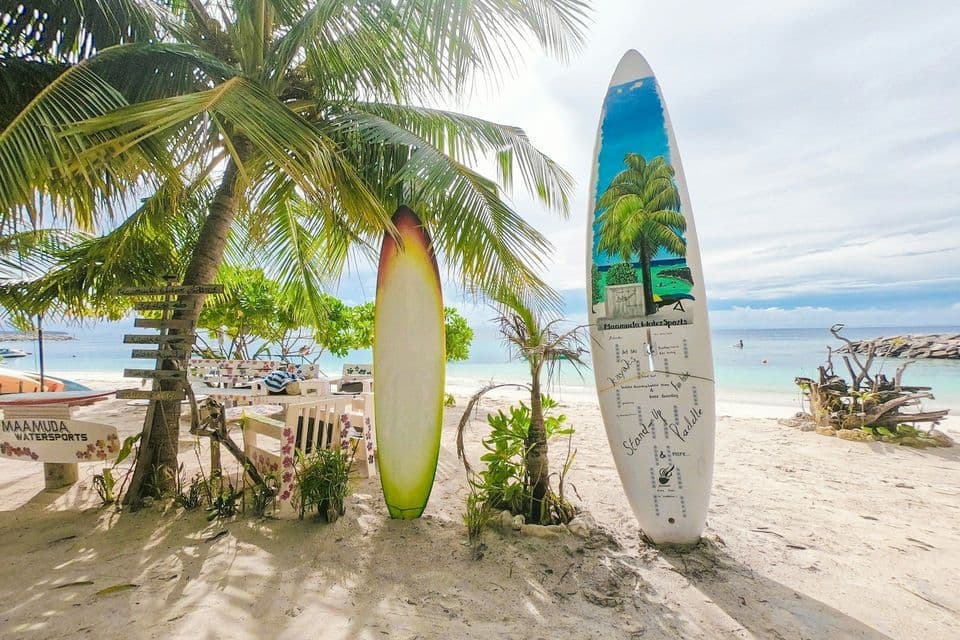 Due tavole da surf decorative si ergono dritte nella sabbia sotto le palme su una spiaggia tropicale, accanto all'oceano turchese.