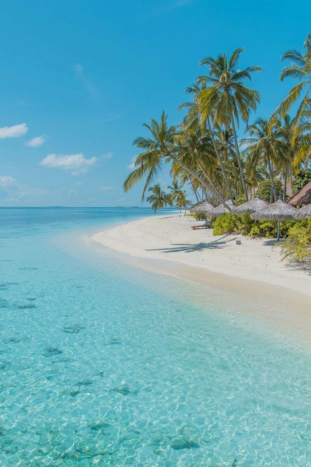 Una spiaggia di sabbia bianca e sinuosa, con palme e ombrelloni in paglia, che si affaccia su un mare limpido e turchese.