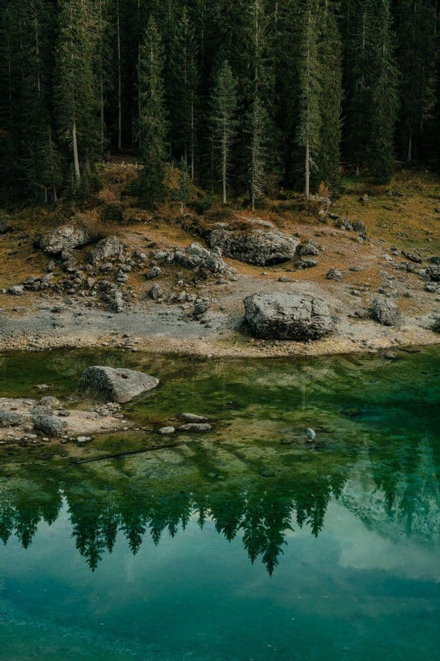 Ein dichter Kiefernwald an einem felsigen Ufer spiegelt sich perfekt im ruhigen, türkisfarbenen Wasser eines Sees.