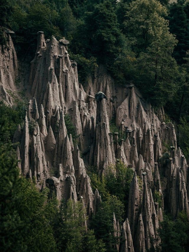 Spitze Erdpyramiden mit Decksteinen stehen an einem steilen Hang, umgeben von einem dichten grünen Wald.