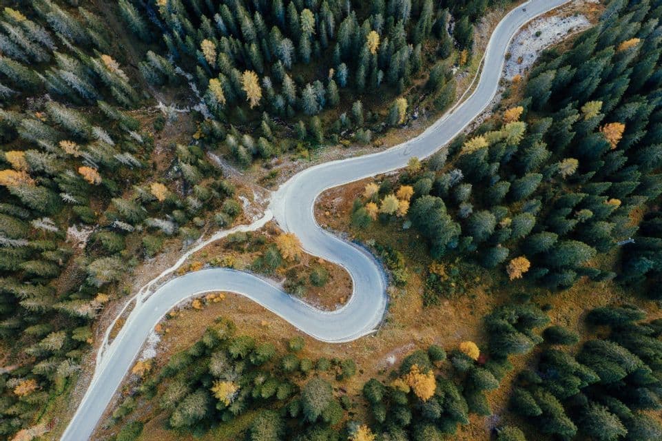 Luftaufnahme einer sich schlängelnden Straße durch einen dichten Kiefernwald mit vereinzelten Herbstfarben.