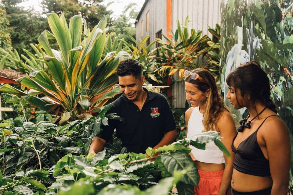 Un uomo mostra piante di caffè a due donne sorridenti durante un viaggio di gruppo WeRoad in un giardino lussureggiante.