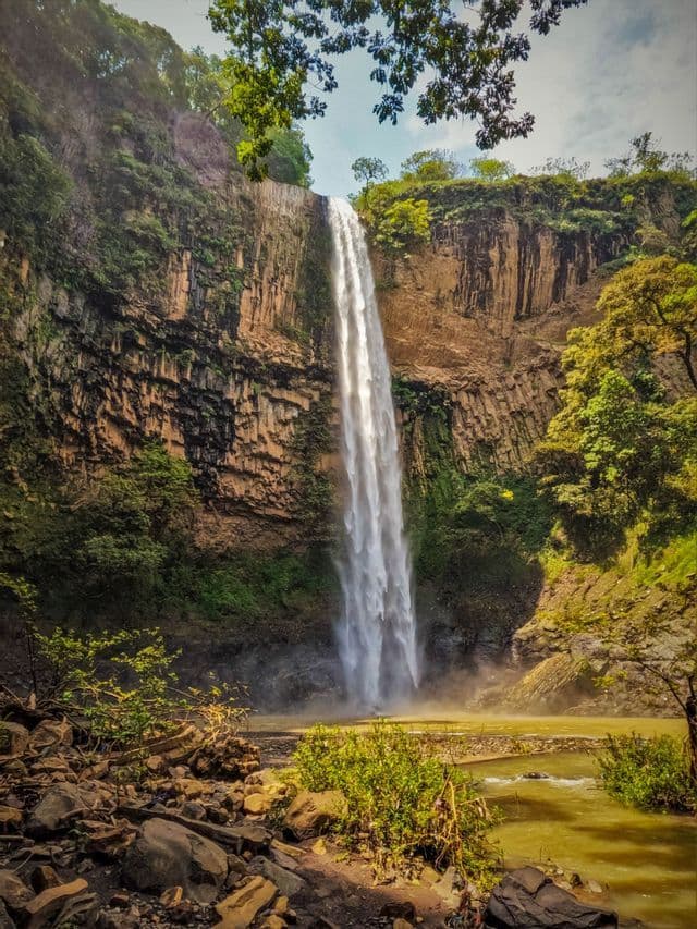 Una cascata alta precipita da una scogliera rocciosa a picco in una pozza d'acqua, incorniciata da alberi verdi e fogliame.