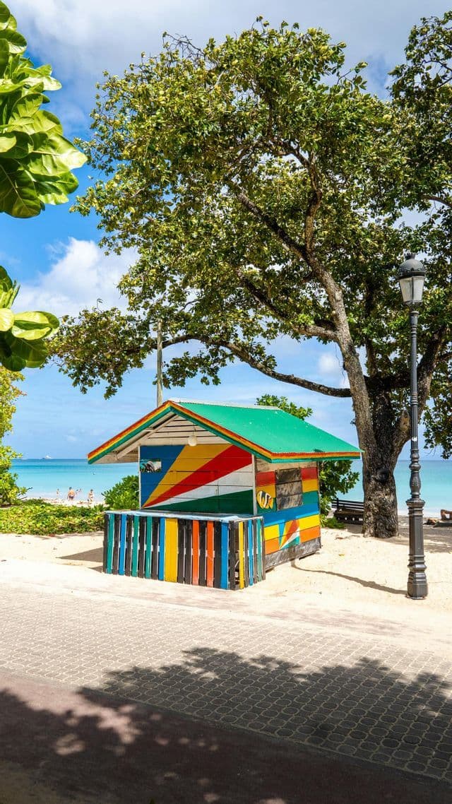 Ein farbenfroher Holzkiosk mit grünem Dach steht an einem Sandstrand unter einem großen Baum, im Hintergrund der türkisfarbene Ozean.