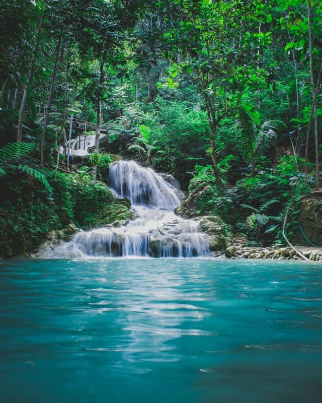 Ein kaskadenartiger Wasserfall fließt über Felsen in einen türkisfarbenen Pool, umgeben von einem dichten grünen Dschungel.