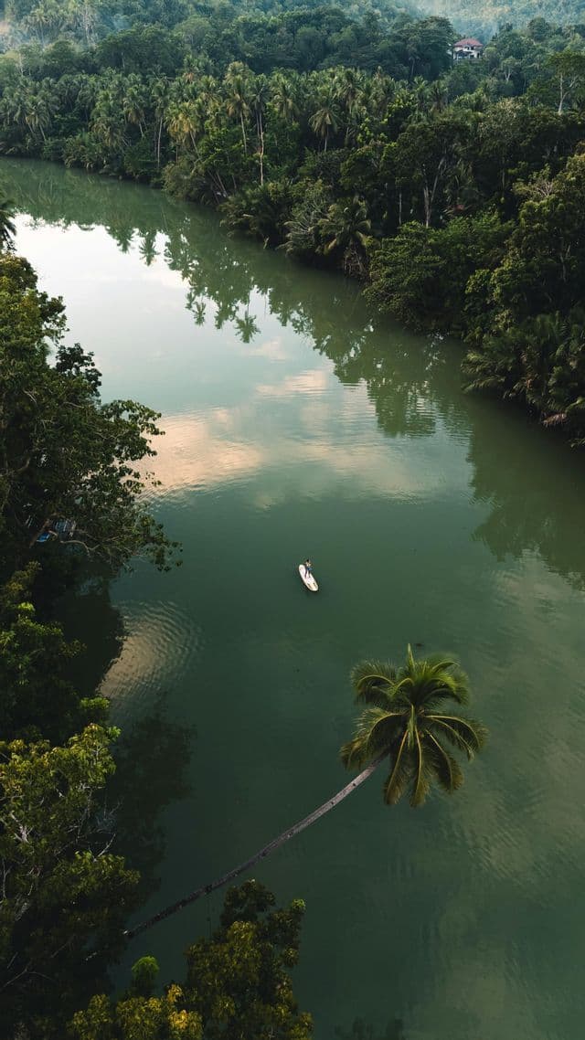Luftaufnahme einer Person auf einem Stand-Up Paddleboard auf einem ruhigen Fluss, der durch einen üppigen, grünen Dschungel fließt.