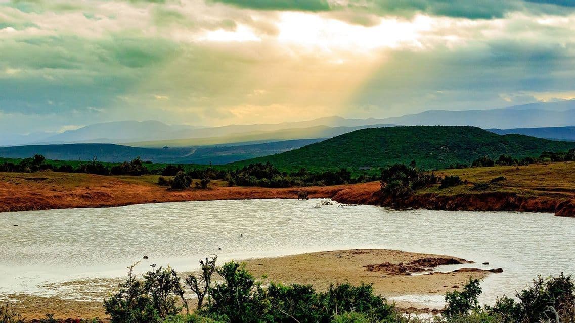 Elefanten stehen an einer Wasserstelle in einer hügeligen Savannenlandschaft, während Sonnenstrahlen durch die Wolken brechen.