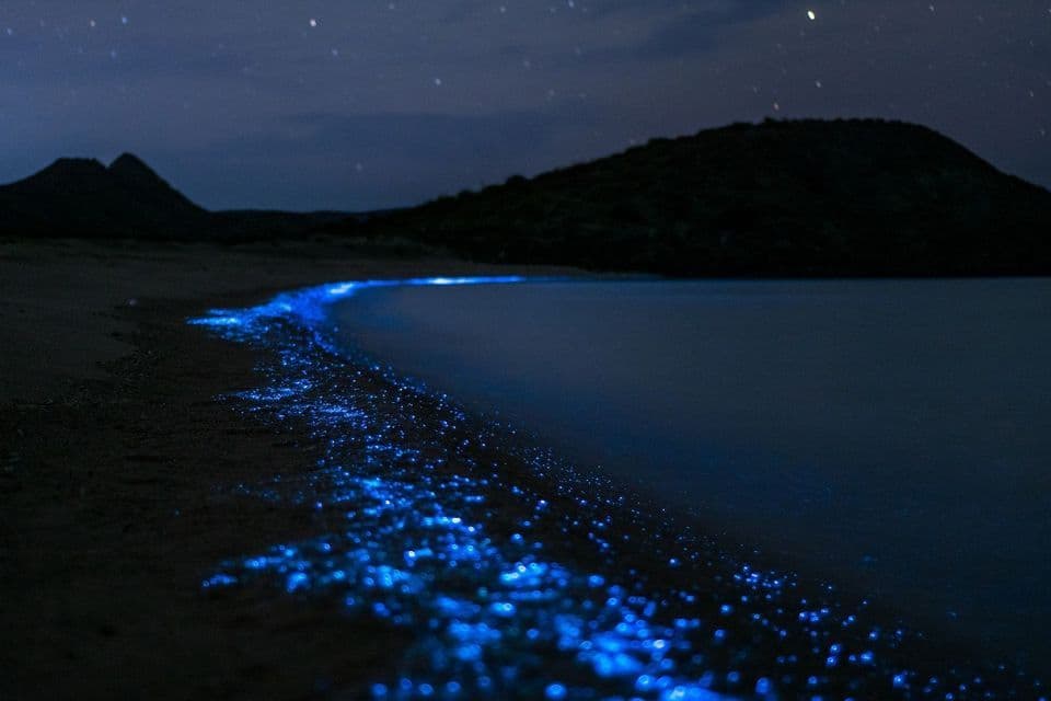 Leuchtend blaue Biolumineszenz-Plankton leuchtet nachts am Ufer eines Sandstrandes, mit dunklen Bergen unter einem Sternenhimmel.
