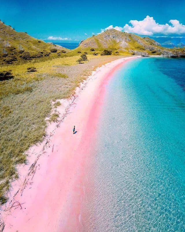 Vue aérienne d'une personne marchant sur une plage de sable rose incurvée, à côté d'une eau turquoise et de collines verdoyantes.