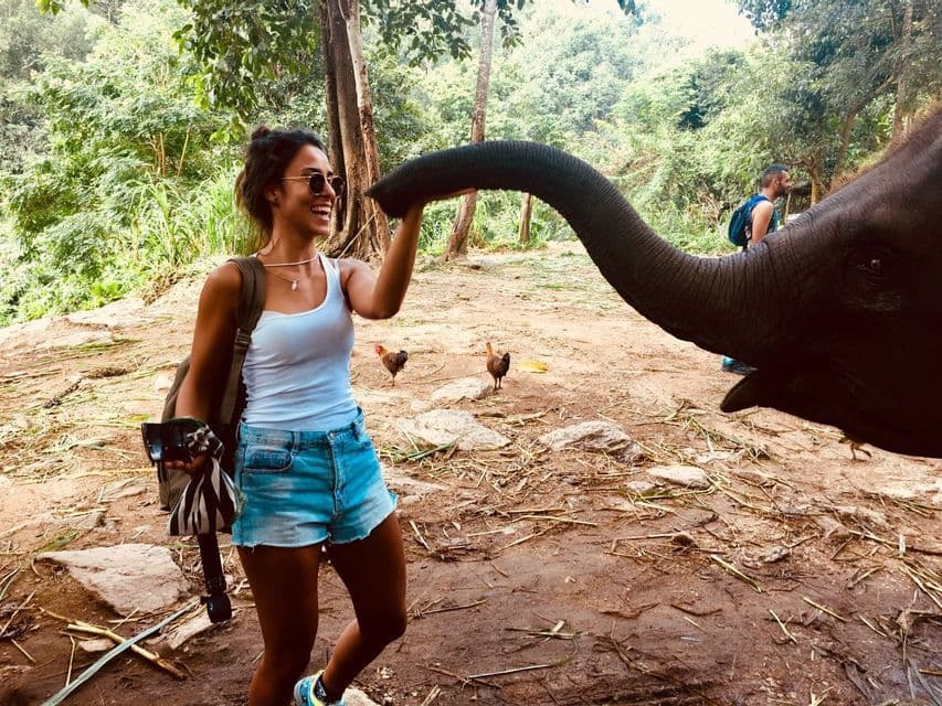 Una donna sorridente in un viaggio di gruppo WeRoad tocca la proboscide di un elefante in una radura nella foresta.