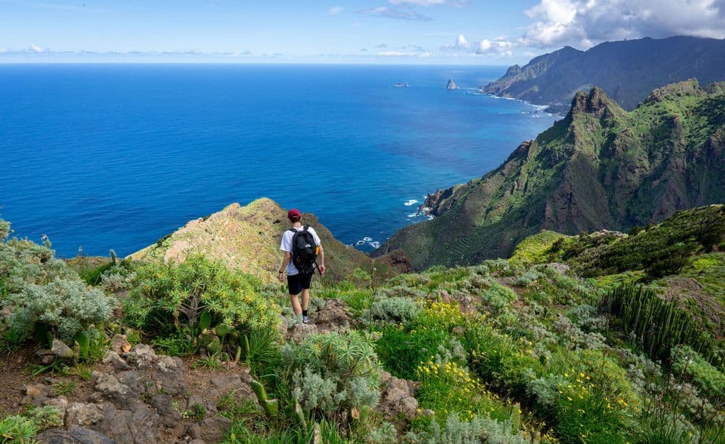 Una persona con uno zaino percorre un sentiero di montagna rigoglioso e verde che si affaccia su una costa frastagliata e un oceano blu.