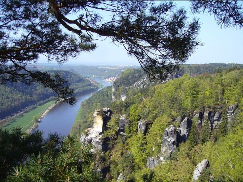 Ein Blick von oben auf einen Fluss, der sich durch ein bewaldetes Tal mit großen Felsformationen schlängelt, gesehen hinter Kiefernzweigen.