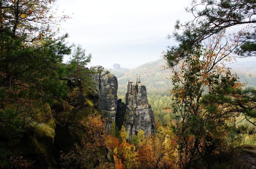 Ein Blick durch Bäume auf hohe, zerklüftete Felsformationen, die aus einem dichten Waldtal mit Herbstlaub emporragen.