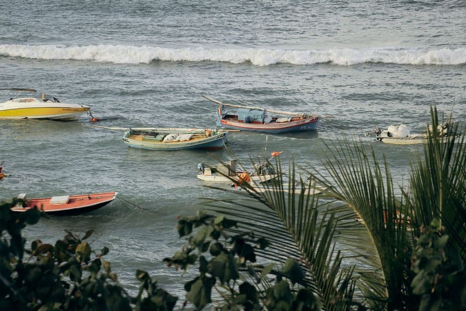 Vista elevada de varias embarcaciones pequeñas flotando en el mar, con una ola que se acerca y follaje verde en primer plano.