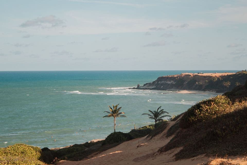 Dos palmeras se alzan sobre una duna de arena, con vista a un océano turquesa con gente nadando y un acantilado a lo lejos.