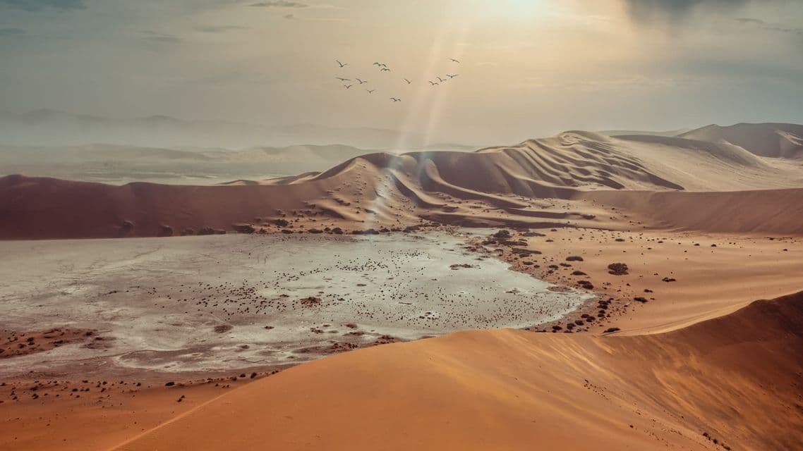 A vast desert landscape with rolling orange sand dunes, a dry lakebed, and a flock of birds flying in the sunlit sky.
