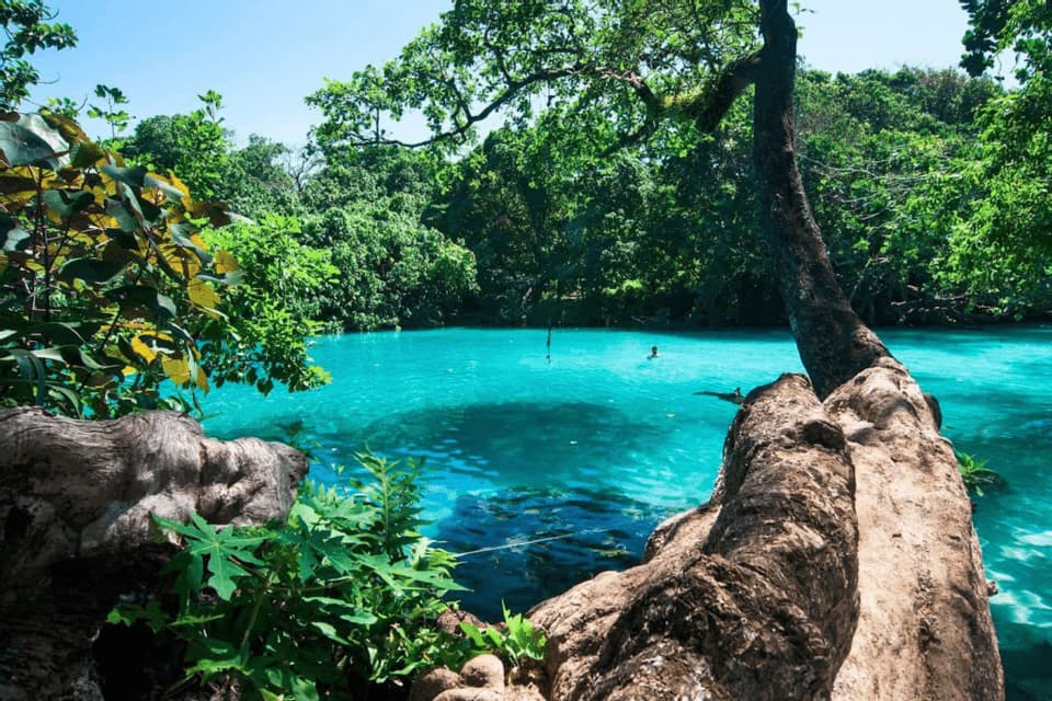 Una piscina natural con agua turquesa vibrante está rodeada por una exuberante selva verde, con una persona nadando a lo lejos.