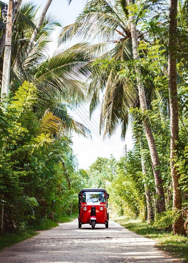Un tuk-tuk rosso percorre una strada stretta costeggiata da alte palme e una lussureggiante vegetazione verde.