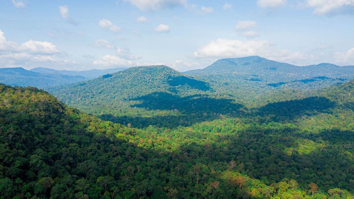 Vista aerea di dolci colline ricoperte di fitta foresta verde, con ombre di nuvole sul paesaggio sotto un cielo azzurro.