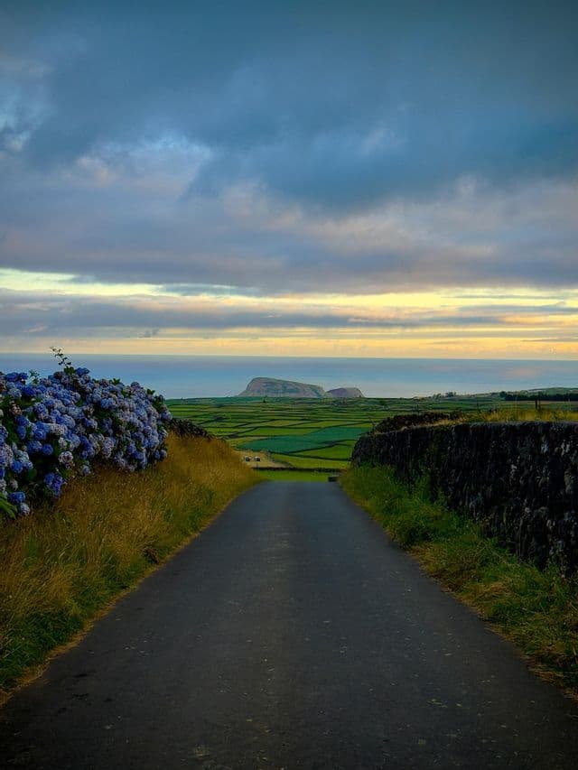 Una stradina scende tra ortensie blu e un muro in pietra, affacciandosi su campi verdi a mosaico e l'oceano.