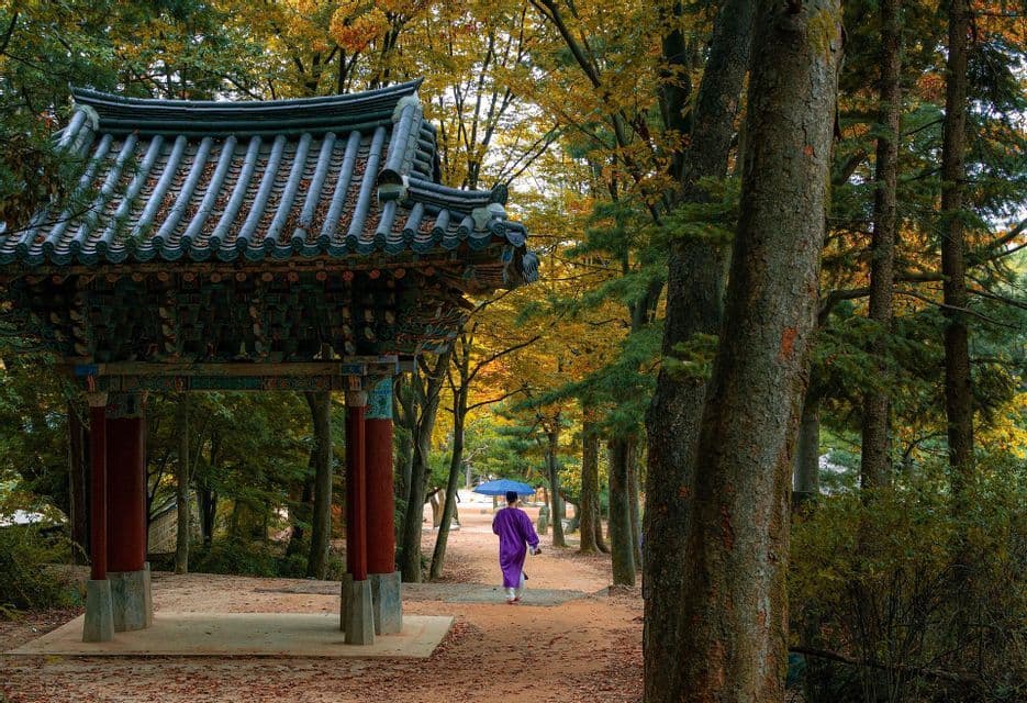 A person in a purple robe holding a blue umbrella walks past a traditional gatehouse on a path in an autumn forest.