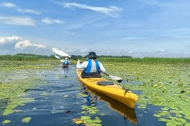 Due persone di un viaggio di gruppo WeRoad in kayak attraverso una palude tranquilla piena di ninfee sotto un cielo blu.