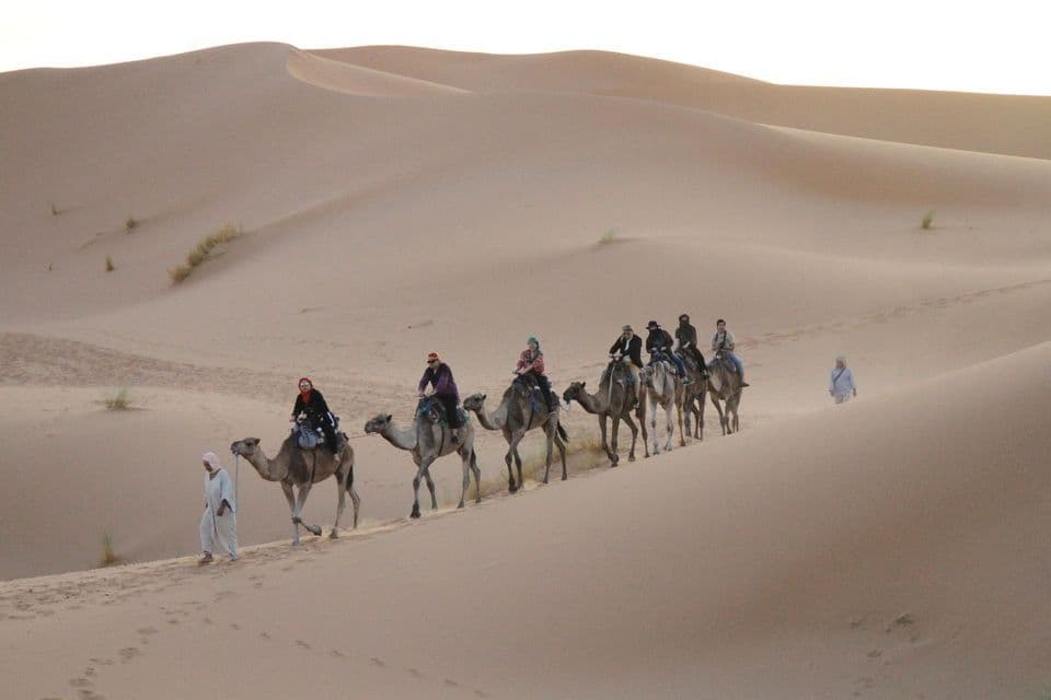 A WeRoad group trip rides camels in a caravan across vast desert sand dunes, led by a guide on foot.