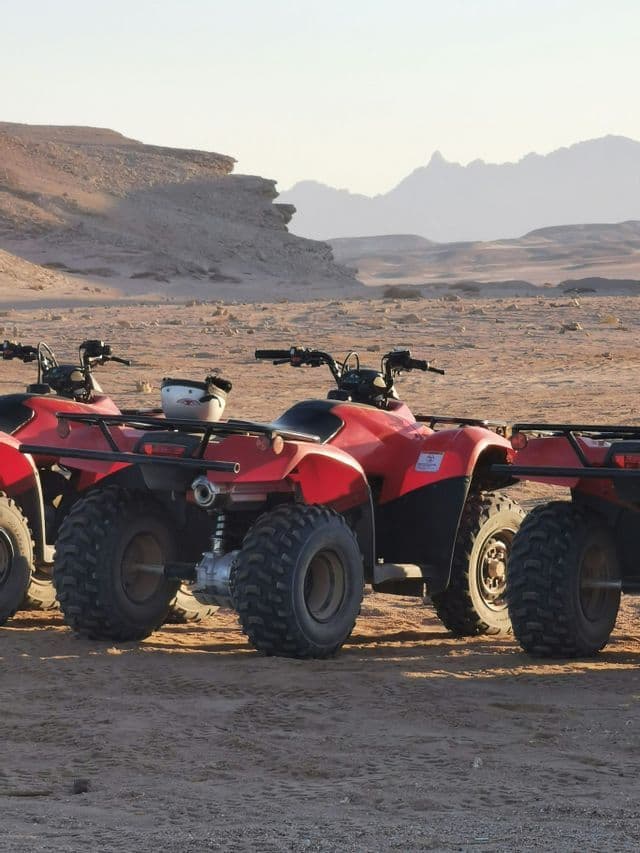 A row of red quad bikes parked on sandy ground in a desert landscape with rocky mountains in the distance.