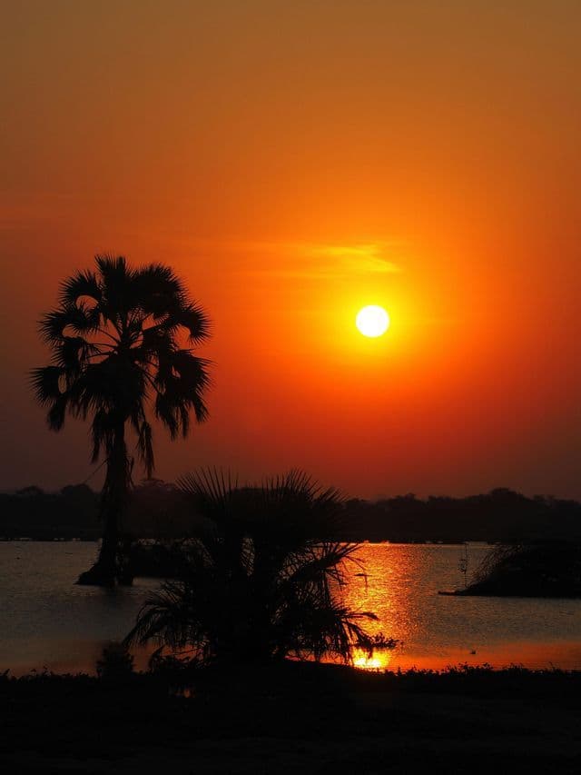Palme in silhouette si stagliano su uno specchio d'acqua al tramonto, con il sole arancione che si riflette sulla superficie.