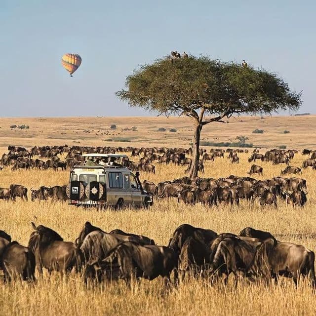 Un viaggio di gruppo WeRoad osserva un branco di gnu da un veicolo safari nella savana mentre una mongolfiera fluttua nel cielo.