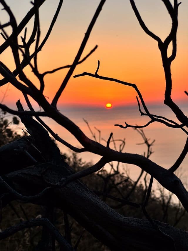 Silhouetten kahler Äste rahmen den Blick auf einen Sonnenuntergang über dem ruhigen Meer vor einem orangefarbenen Himmel.