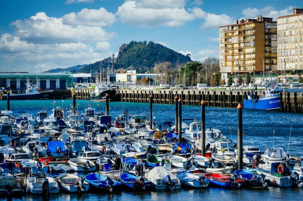 Docenas de barcos están atracados en un puerto concurrido, con edificios de la ciudad y una colina verde al fondo bajo un cielo azul con nubes blancas.
